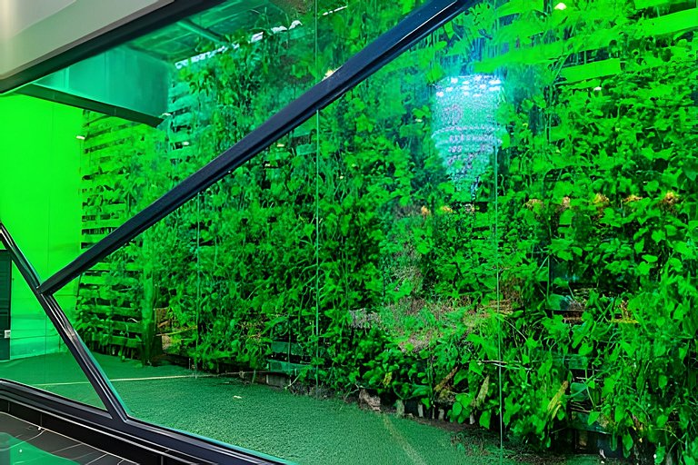 Conforto Premium no Time | Orla de Ponta Verde